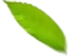 大香蕉操逼视频滲濾液處理